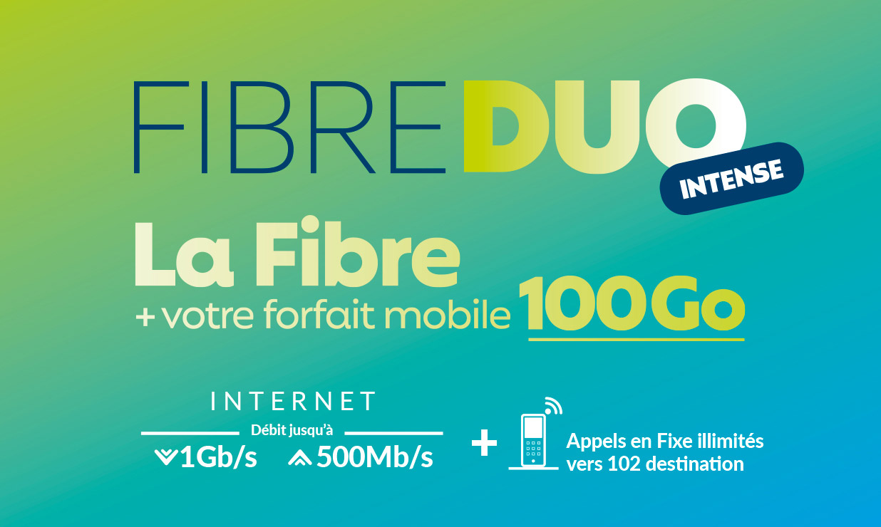 fibre dauphin telecom